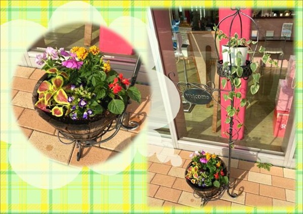 初夏の花に植え替え ダイハツ東京